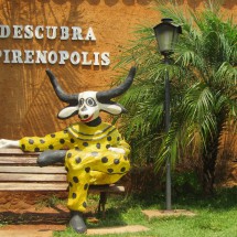 Mascot of Pirenopolis - it is a cattle region